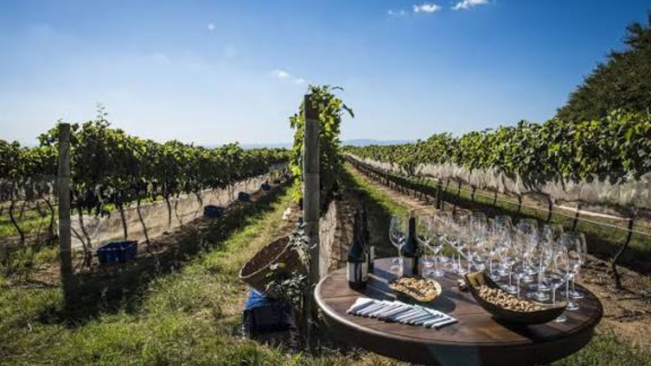 Vinícola e turistas em rota vinícola paulista